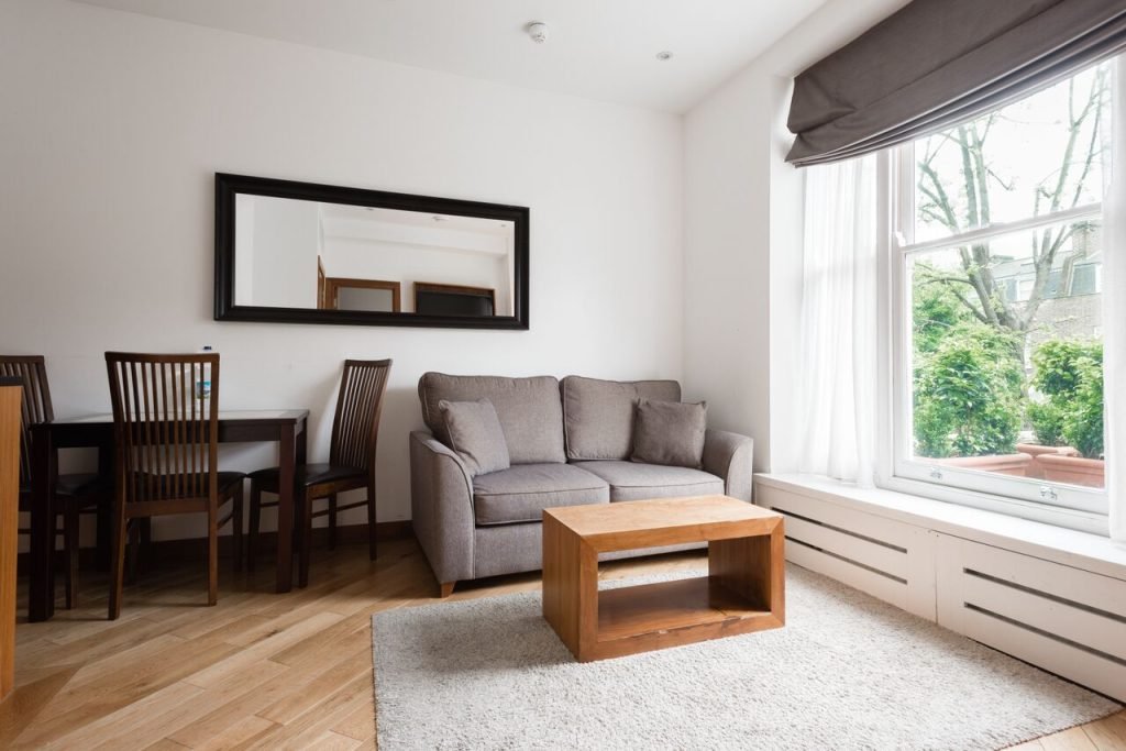 One Bedroom Apartment living room with sofa and dining table