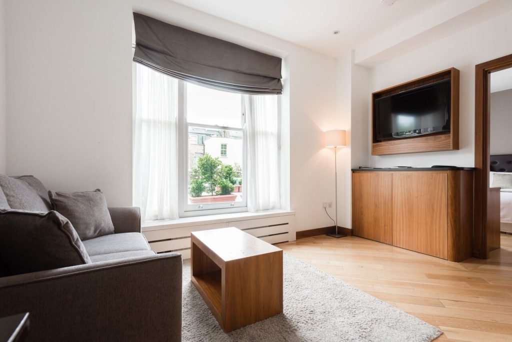 One Bedroom Apartment living room with sofa and TV