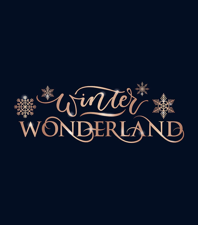 The Christmas Magic of Winter Wonderland